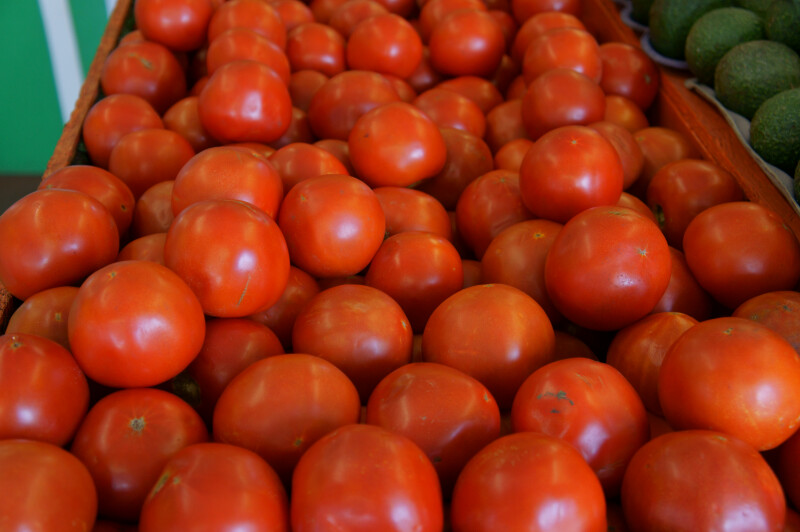 Group of Medium-Sized Vine Ripe Tomatoes