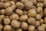 Group of Potatoes on Display at Haymarket Square