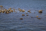 Group of Small and Medium-Sized Rocks at Biscayne National Park