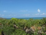 Gulf of Mexico