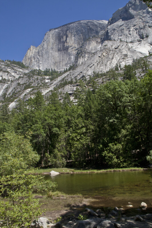 Half Dome from the Valley Floor