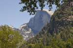 Half Dome Seen through the Trees