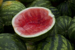Half-Eaten Watermelon Stacked on Top of Other Watermelons