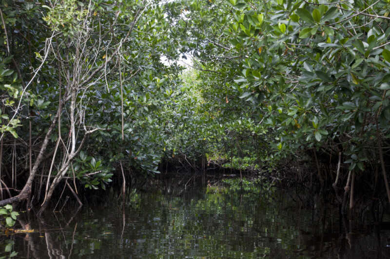 Halfway Creek in Everglades National Park
