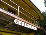 Haroldine