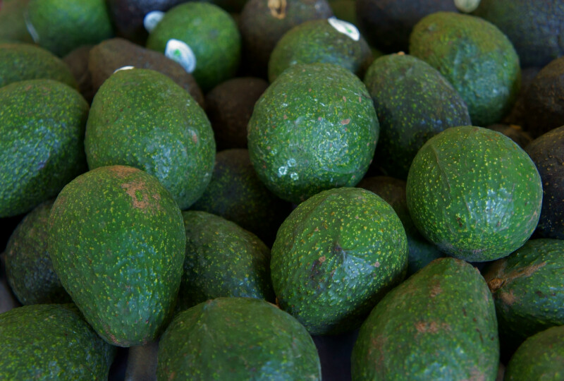 Hass Avocados at the Tampa Bay Farmers Market