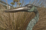 Head of a Bird Sculpture