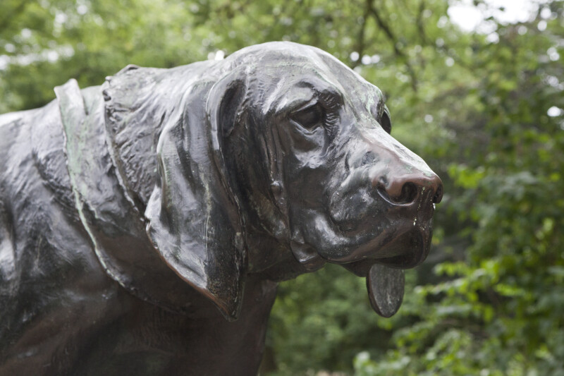 Head of a Bronze  Dog Statue