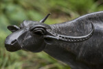 Head of a Small Sculpture Resembling a Bull