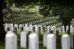 Headstones and Shade