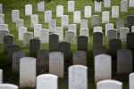 Headstones in Grass