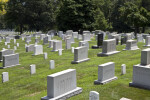 Headstones in Sunlight