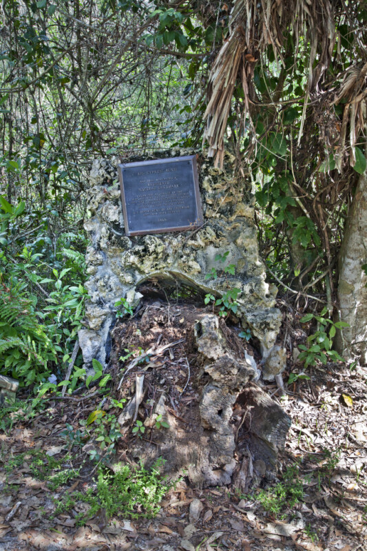 Honorary Plaque Attached to Rock
