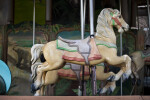 Carousel  Horse