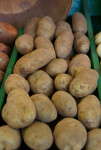Idaho Baking Potatoes at the Tampa Bay Farmers Market