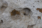 Indentations on a Rock at Colt Creek State Park