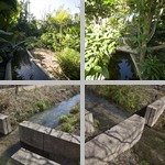 Irrigation photographs