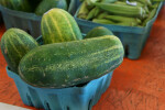 "Kirby" Pickling Cucumbers