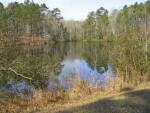 Lake at Falling Waters State Park