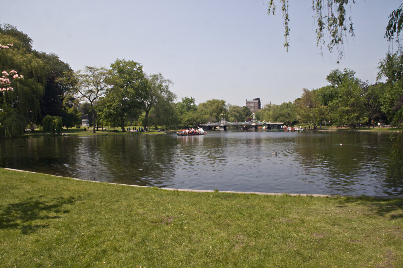 Lake at the Boston Public Garden