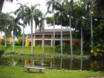 Landscaped Palm Trees