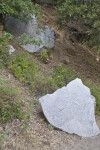 Large, Angular Blocks of Granodiorite