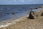 Large Rocks on the Shore at Biscayne National Park