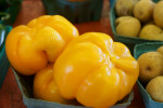 Large Yellow Peppers