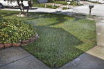 Lawn Watering with Reclaimed Water
