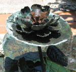 Lily Fountain