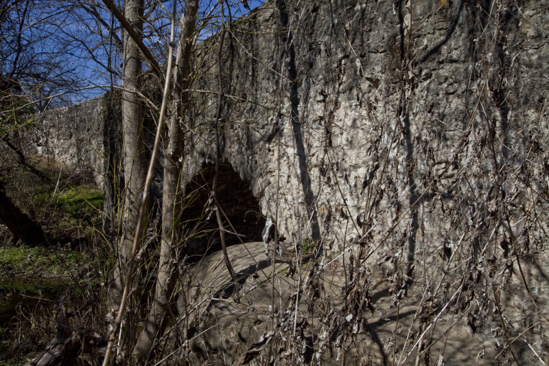 Limestone and Overgrowth at the Espada Acequia