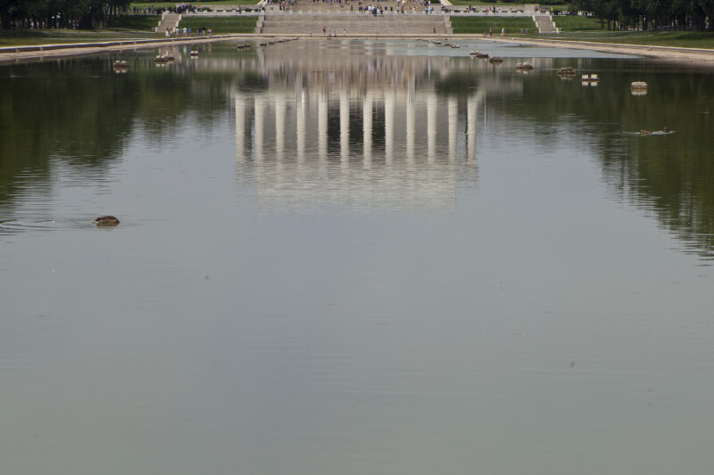 Lincoln Memorial Reflection