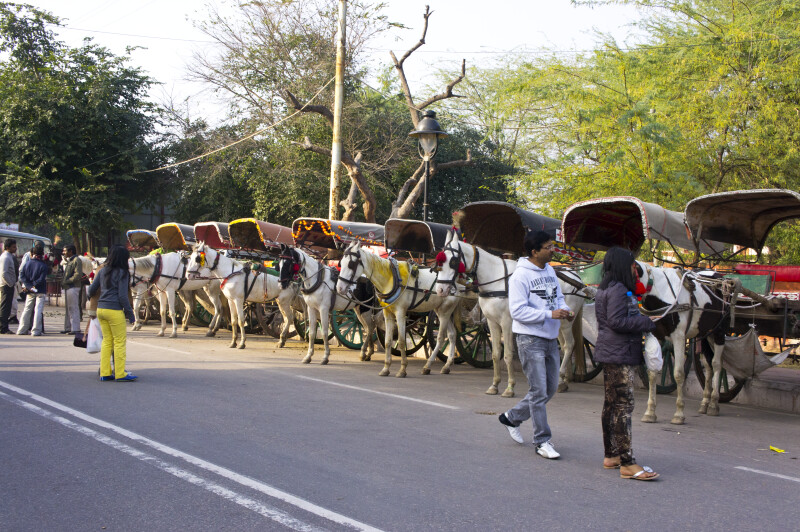 Line of Horse-Drawn Carriages