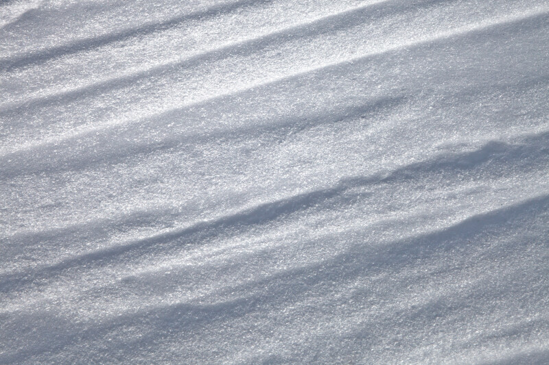 Lines in Snow