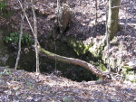 Log Over Sinkhole