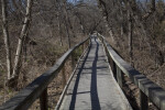 Long Boardwalk