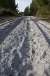 Long Dirt Trail