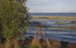 Looking East across Lake June-in-Winter