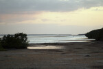 Low Tide at Snake Bight