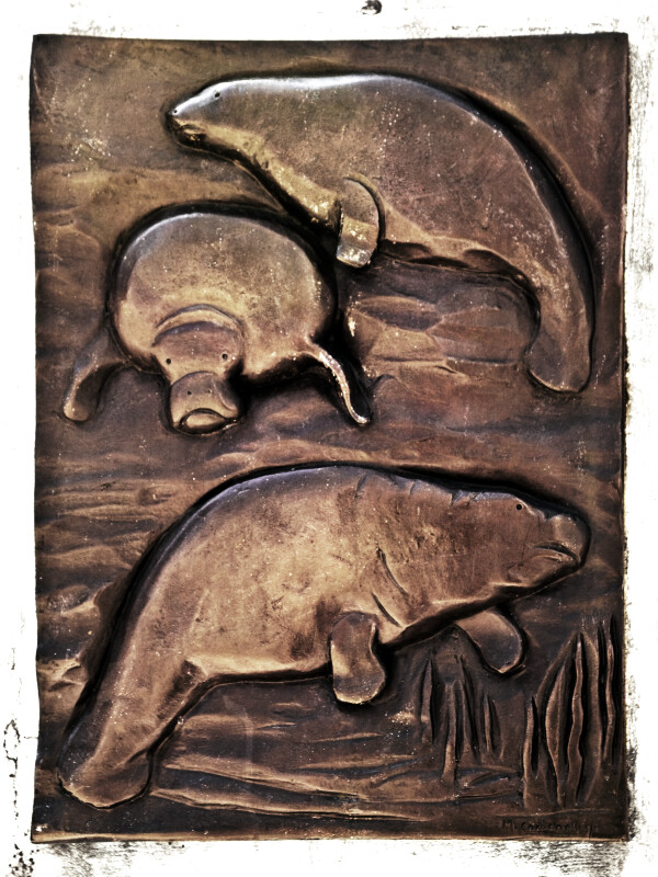 Manatees in Bronze