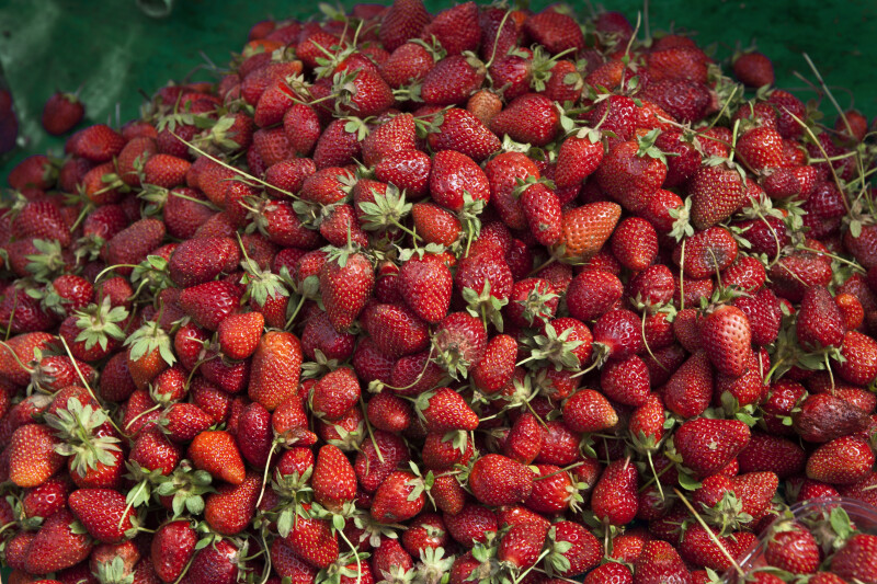 Many Strawberries on Display