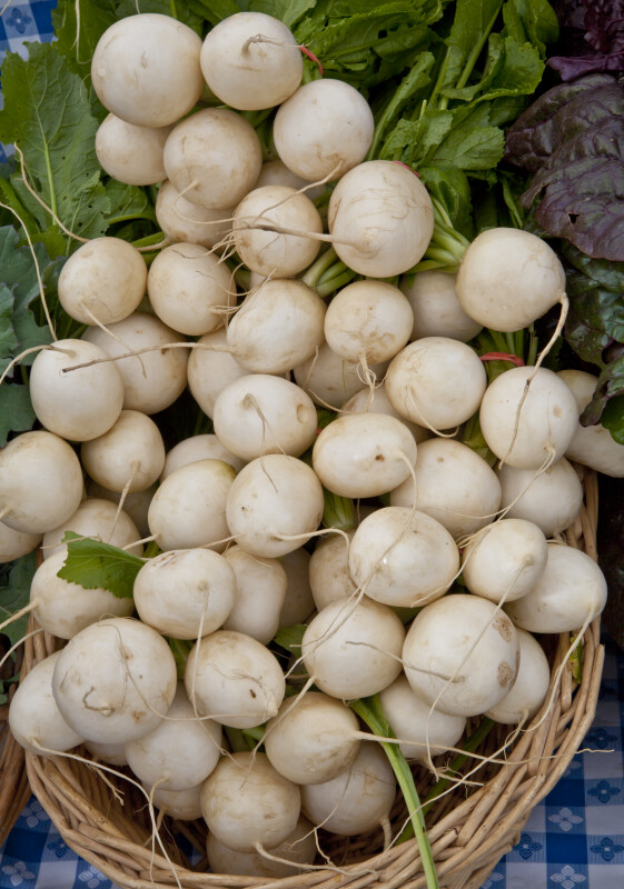 Many White Turnips