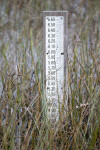 Measuring Post