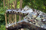 Metal Tyrannosaurus rex Head at the Sacramento Zoo