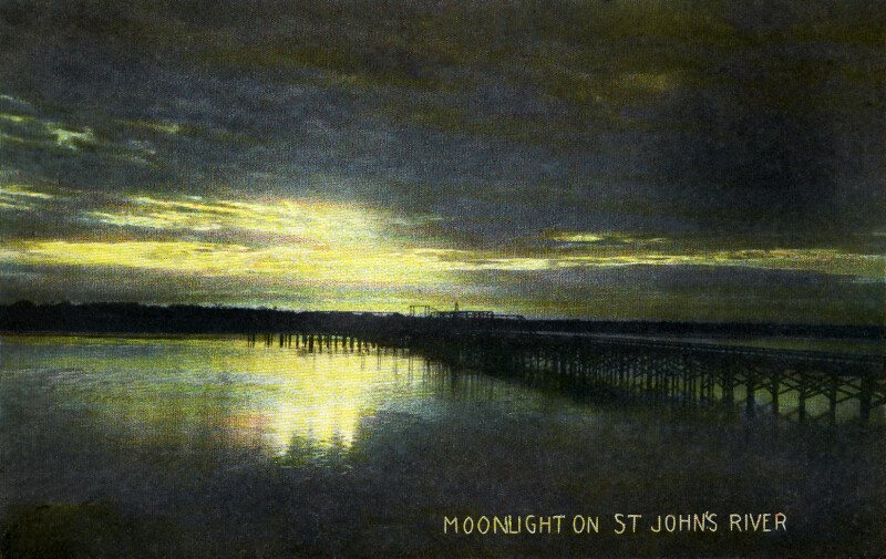 Moonlight on the St. Johns River