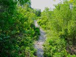 Mound Key Park Path