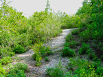 Mound Key Trail