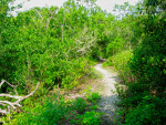 Mound Key Winding Path