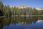Mount Dana Reflected on the Surface of a Lake