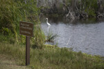 Mrazek Pond Sign
